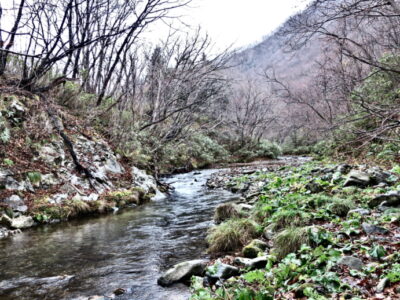 モへル川は、知る人ぞ知る釣れる川です。