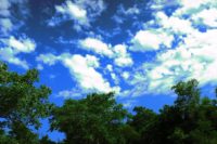 ぐっすり寝ました