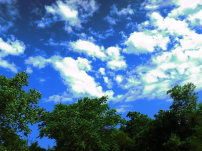 ぐっすり寝ました