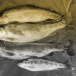 出世しても忙しいだけでいいことありません