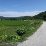 光背（こうはい）後光がさすって本当かな