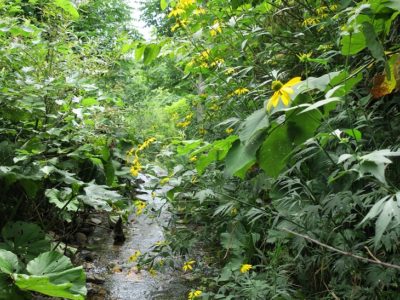 女性釣り師は増えたか。