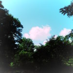 セザンヌ、ムンク、ピカソ 油絵制作に向かって キャンバスを貼る