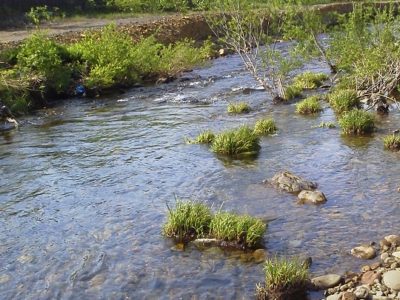 北海道の渓流釣り今シーズンの抱負