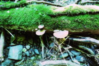 余市は釣りの本拠地です