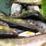 毛無峠を通って