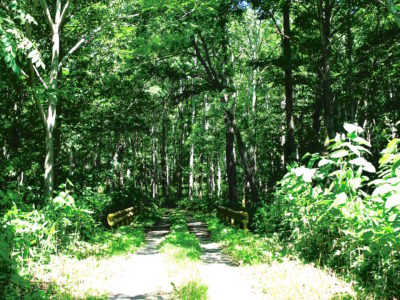 最新の釣竿は良いですね。
