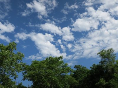 北海道の渓流釣り ストックを使う名人