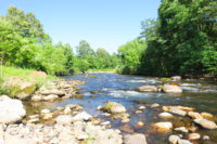 余市川上流に行きました。