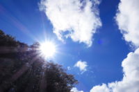 道草を食うことで、世界の底辺が広がる。