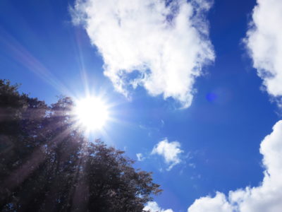 道草を食うことで、世界の底辺が広がる。