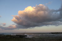 函館駅前中央分離帯 土方歳三最後の地 北海道観光おすすめ