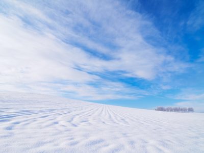 北海道を体現するのは松山千春?大泉洋?