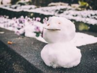 札幌オリンピックは必要なのか。ジャネットリンの思い出