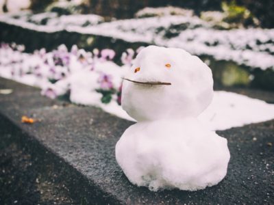 札幌オリンピックは必要なのか。ジャネットリンの思い出