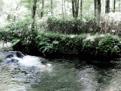 100年ぶりに6月降水量の記録