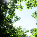 もう一人の世界が広がります