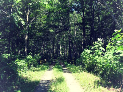古平川　爆竹に火をつけました