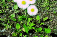 竿を入れてみないとわからない