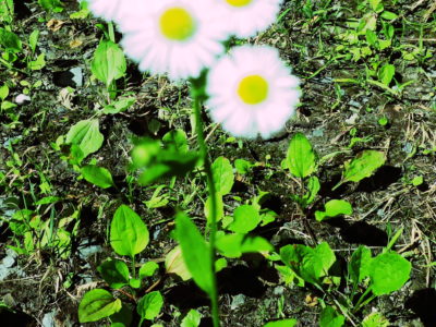 竿を入れてみないとわからない