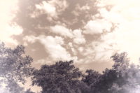 暑い暑い真夏の渓流釣り　2018/4回目