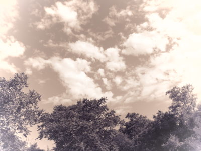 暑い暑い真夏の渓流釣り　2018/4回目