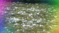 北海道の渓流釣り・浮かれている場合ではない・釣り強制終了