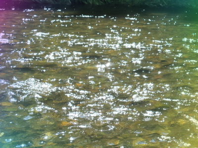 北海道の渓流釣り・浮かれている場合ではない・釣り強制終了