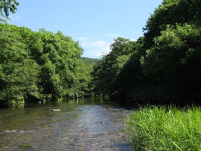 北海道の渓流釣り わが愛しの余市川