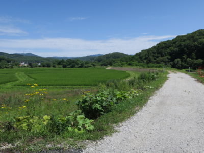 真夏のつり最高ですね。