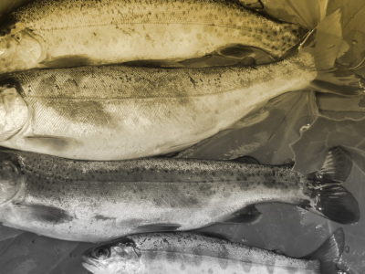 蚊取り線香を腰から下げてる人