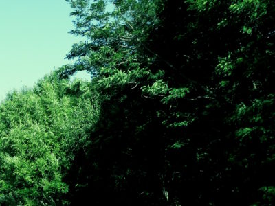 余市川の夏の思い出