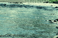 2017年度の1人反省会