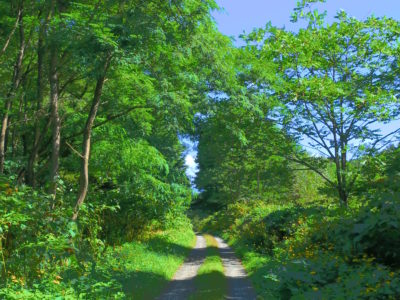 今度の釣りは、本流で