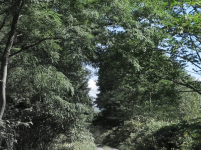 積丹のはずれに余別というところがあって