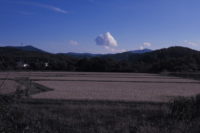 ウエダー(胴長)を買いに行くつもりですが。