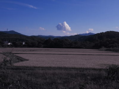 ウエダー(胴長)を買いに行くつもりですが。
