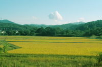 流覇 メタルチューン