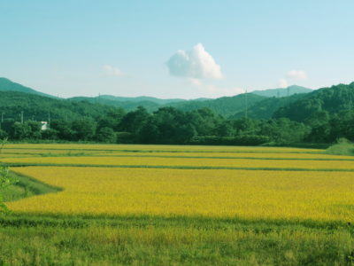 流覇 メタルチューン