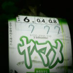 釣りを1週休むことにしました