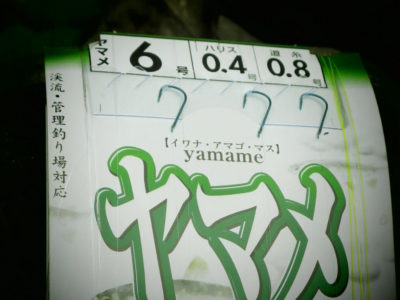釣りを1週休むことにしました