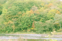 秋が深まってきました。渓相は、また美しさが増します。