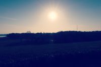 有料テーマ 時短のためには、購入した方がよい