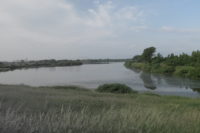 北海道観光シーズン 春の旅おすすめ3か所 富良野、函館、余市