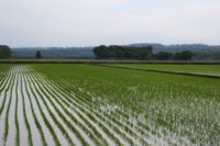 ホントに、釣れるのか