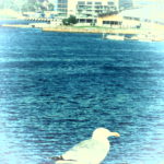 北海道は揺れましたよ。　札幌市東区震度６弱　北区５強