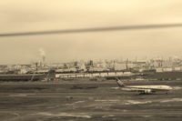 ベニシアさんの近況　少しやせましたか　目はしっかりしてます