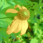 北海道の渓流釣り　2018年8回目　アマメス君は帰っていいですよ