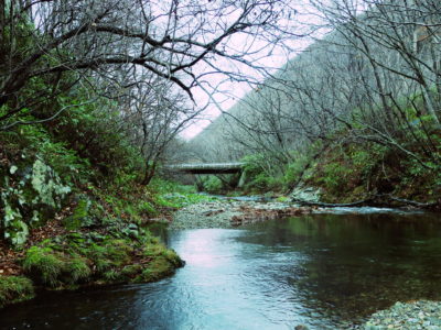 北海道の渓流釣り　2018 11回これで最終回とは。