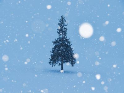 ベニシアさんの8年前 クリスマス 2018/12/16
